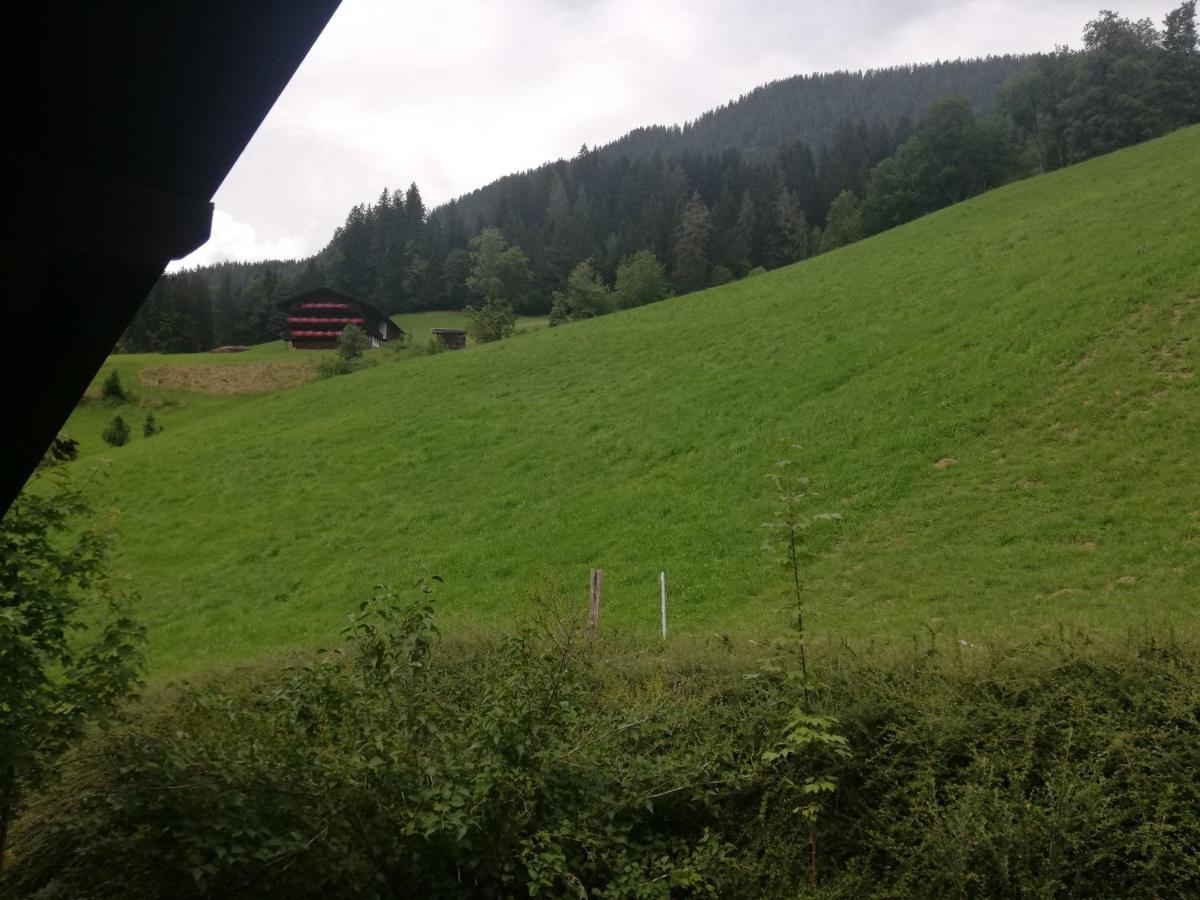 Appartements Zellner Alpbach Exterior photo